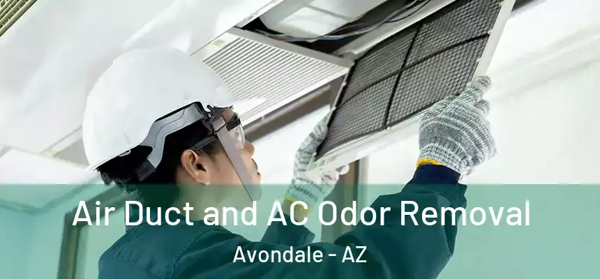  Air Duct and AC Odor Removal Avondale - AZ