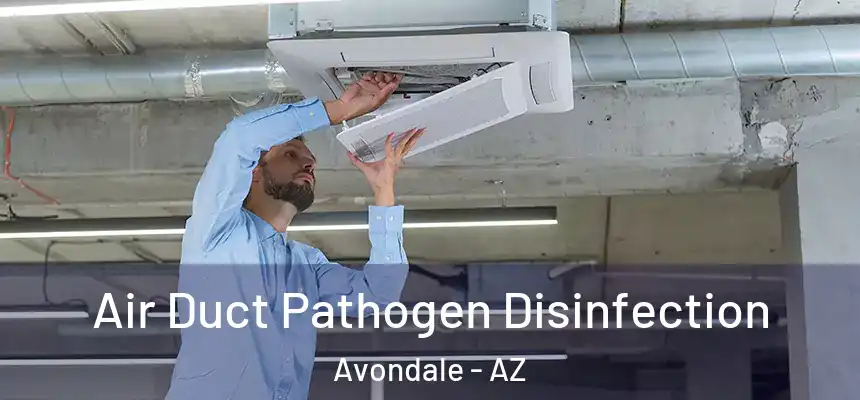  Air Duct Pathogen Disinfection Avondale - AZ