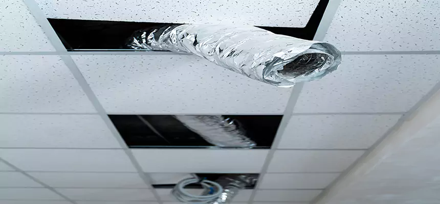 Our Air Duct Pet Hair Removal Services in Avondale, AZ