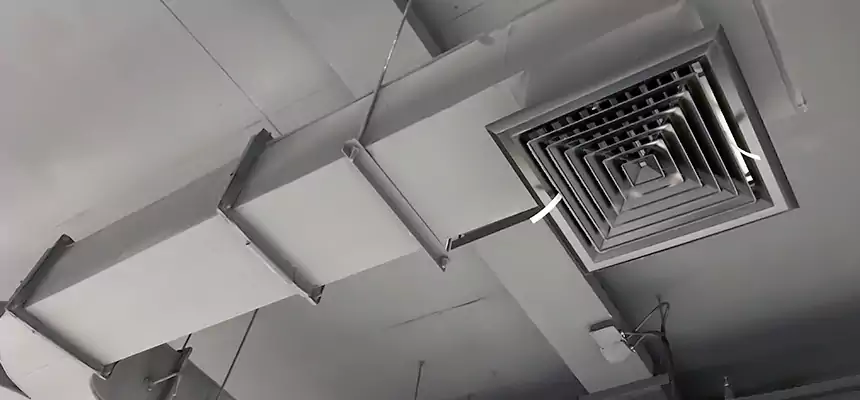 Restorative Allergy Relief Vent Cleaning – Coil, Blower & Housing Detail in Avondale