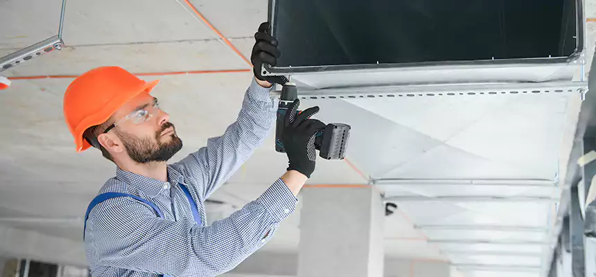 Roof Cap & Exterior Hood Lint Buildup Removal – Avondale