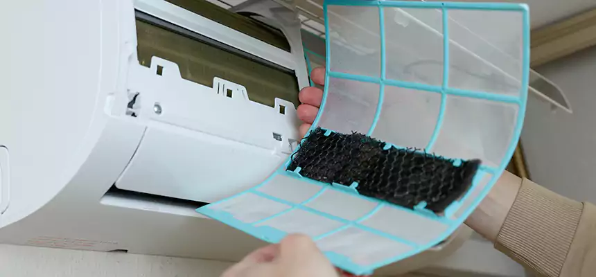 Gentle Ductwork Odor-Control Pet Dander Duct Cleaning in Avondale, AZ