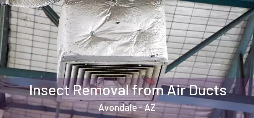  Insect Removal from Air Ducts Avondale - AZ