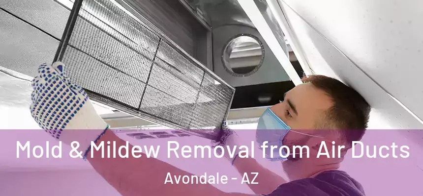 Mold & Mildew Removal from Air Ducts Avondale - AZ