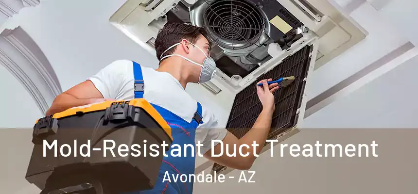  Mold-Resistant Duct Treatment Avondale - AZ