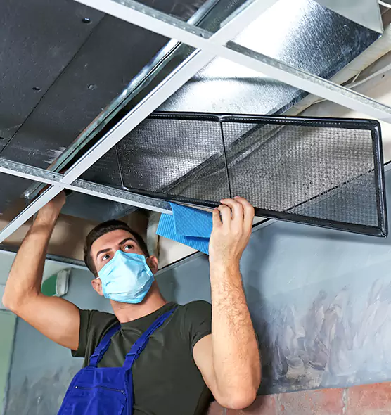 About Air Duct Bacteria Removal in Avondale