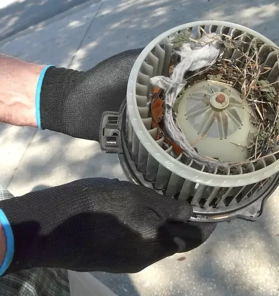 About Air Duct Rat Removal in Avondale, AZ