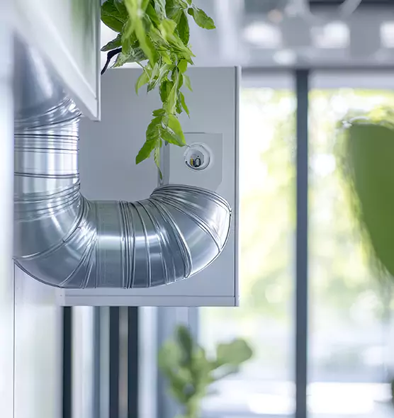 Professional Eco-Safe Dryer Vent Cleaning in Avondale, AZ