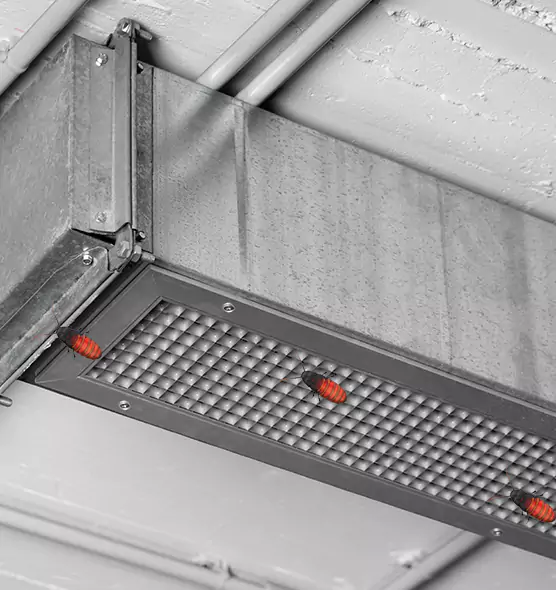 Affordable Insect Removal from Air Ducts in Avondale, AZ
