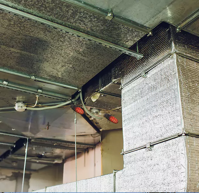 Why Homeowners & Businesses Trust Us in Avondale, AZ?