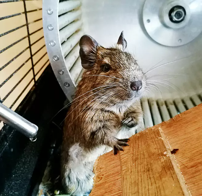 Why Homeowners & Businesses Trust Us Avondale, AZ