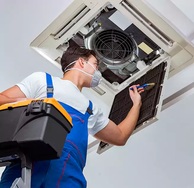 Why Homeowners & Businesses Trust Us in Avondale, AZ