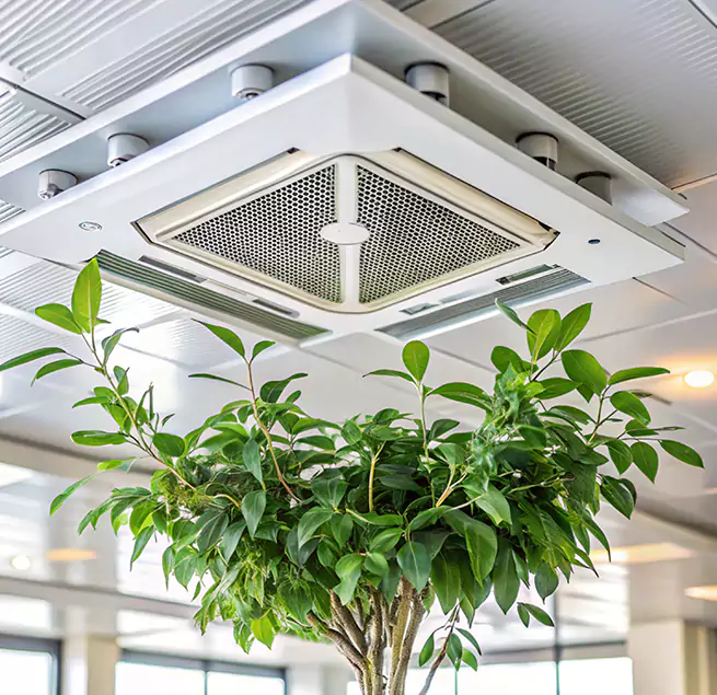 Why Homeowners & Businesses Trust Us in Avondale, AZ?